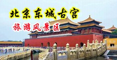 女生骚逼的视频中国北京-东城古宫旅游风景区